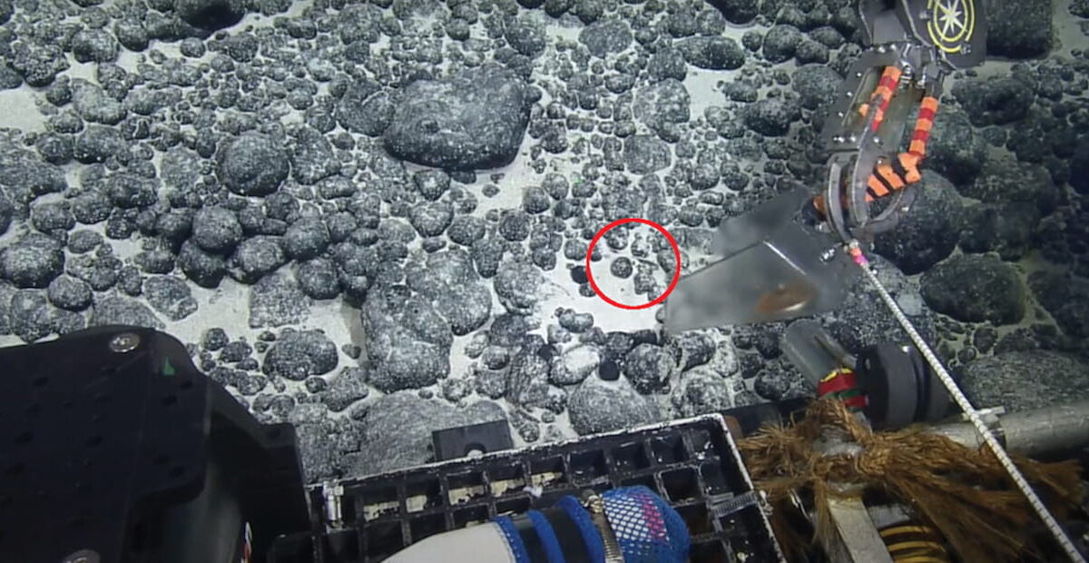 Screenshot from video at a depth of 10137 ft showing the location of the Otodus megalodon tooth