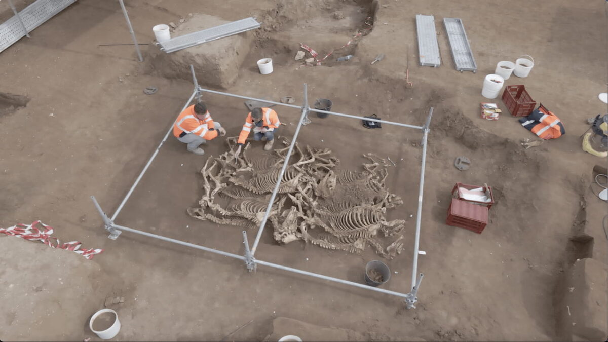 View of one of the horse burial sites discovered.