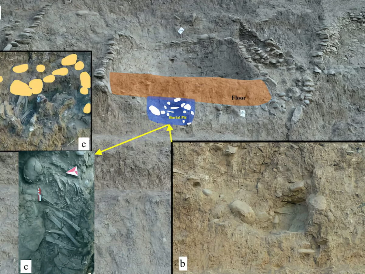 The discovery of the shaman with the distribution of objects in the tomb