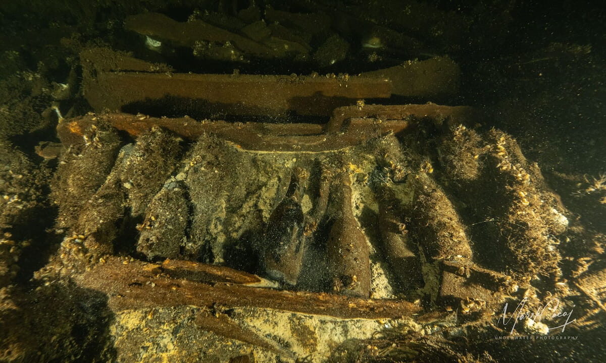 Bottles of champagne discovered in a 19th century wreck