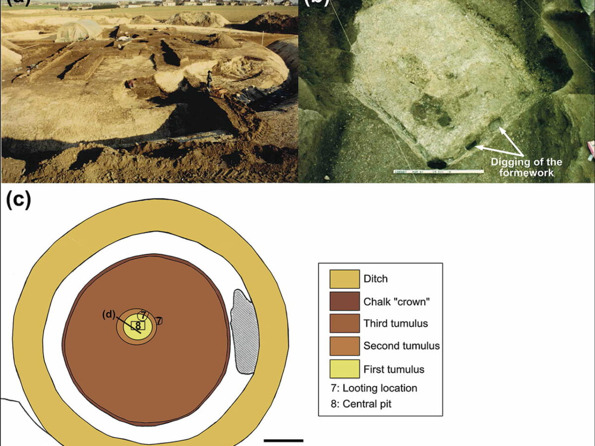 The site of Creney-le-Paradis (Aube, France): a) archaeological site (c. 8th-5th century BC); b) burial, central pit (c. late 6th-5th century BC); c) diagram of the mound and its concentrically superimposed construction phases; scale bar: 10m