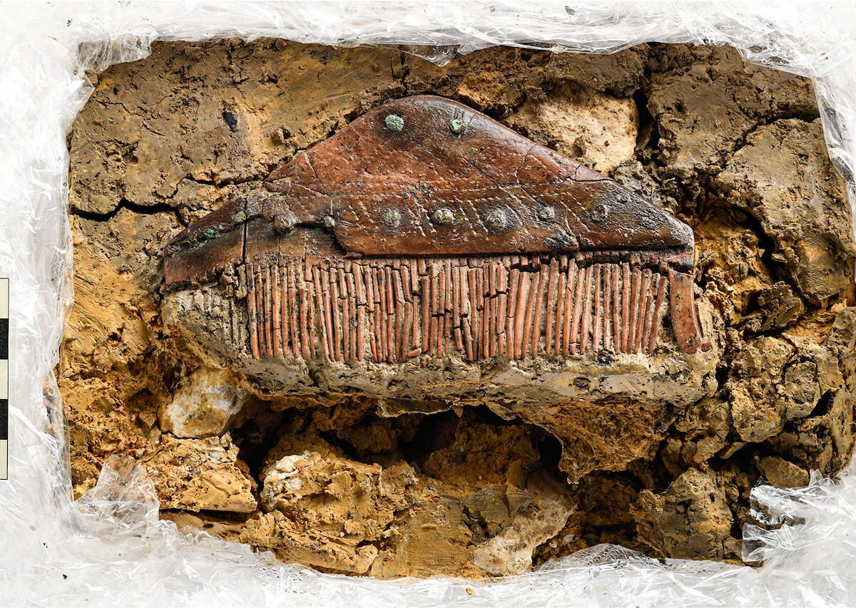 The Germanic comb found in the 4th century A.D. Alamannic tomb.