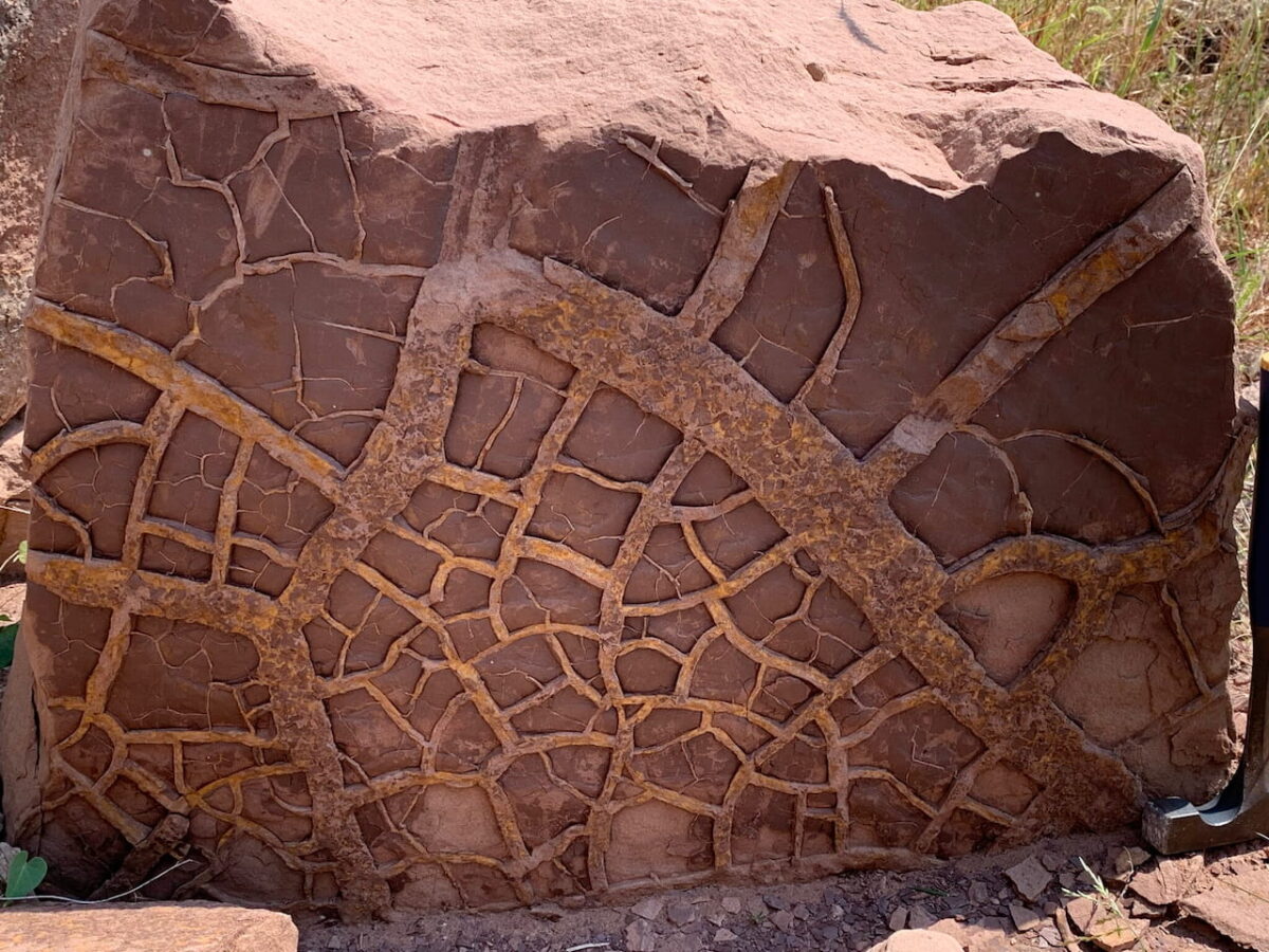 A geological field section reveals a desiccated (extreme dryness) land surface that was common all over the world 252 million years ago - a sign of our future to come.