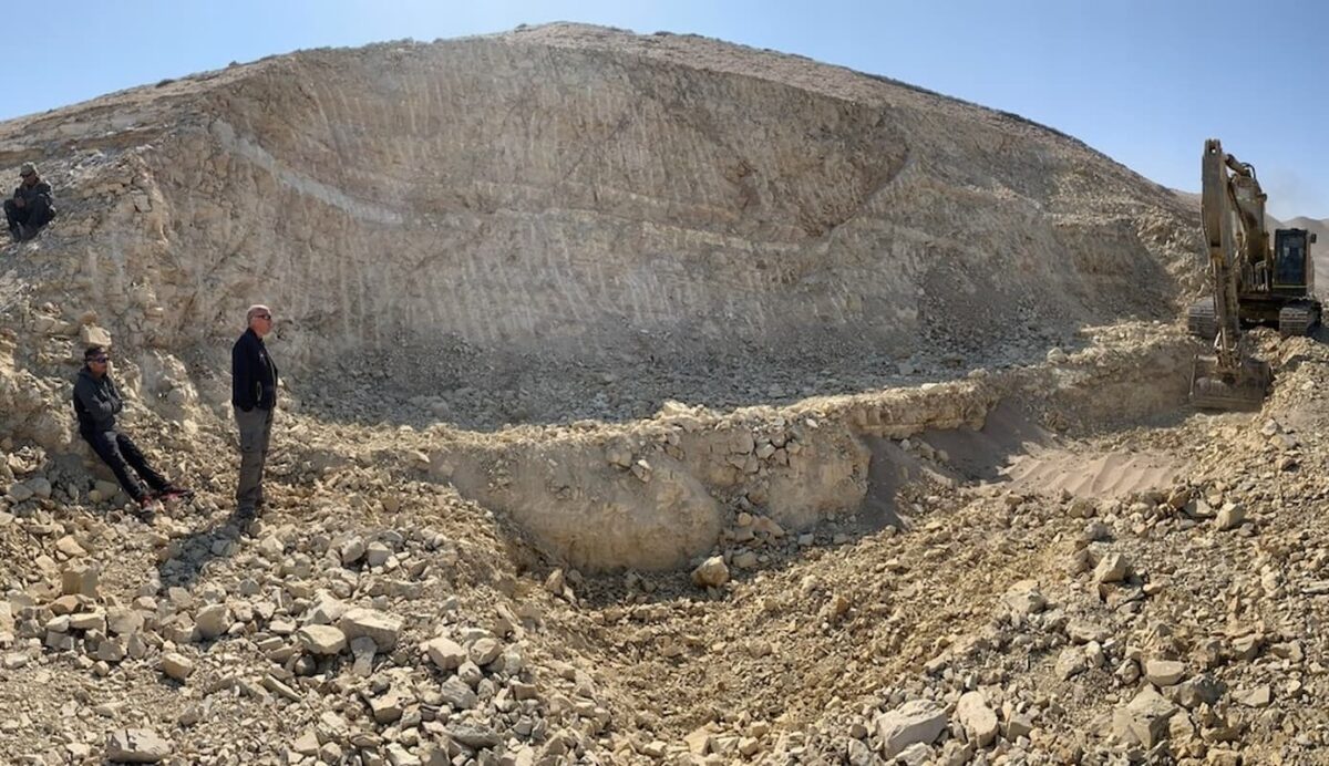 View of the site of the Perucetus colossus skeleton fossil.