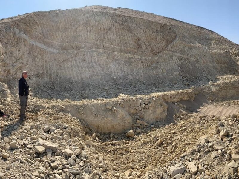 View of the site of the Perucetus colossus skeleton fossil.