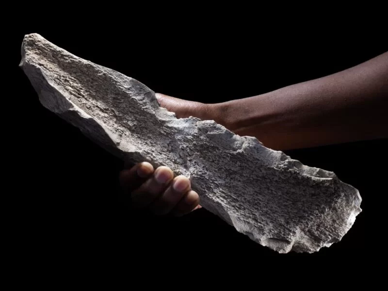 Findings in the Olduvai Gorge Reveal That Our Primitive Ancestors Were Already Making Bone Tools 1.5 Million Years Ago