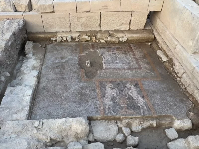 A Rare Mosaic Depicting Two Cupids in Combat and a Monumental Inscription Found in the Bouleuterion of the Ancient City of Teos