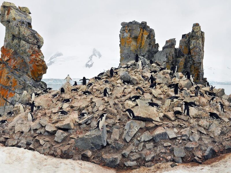 Gabriel de Castilla, the Spaniard Who Was the First One to Sight Antarctica