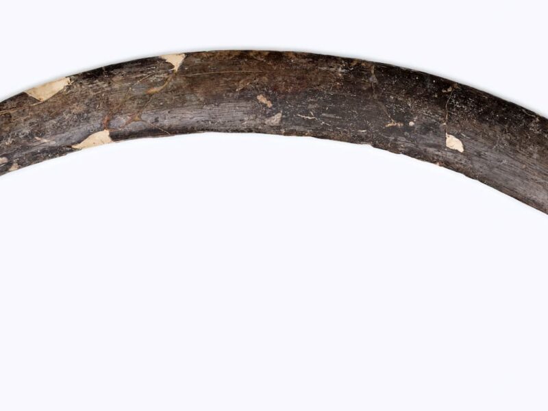 A Mammoth Tusk Carved 40,000 Years Ago Found in a Polish Cave Is the Oldest Boomerang in the World