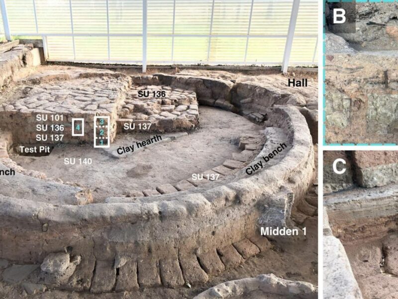 The Inhabitants of an Iron Age Settlement in Western Spain Burned Their Houses to Rebuild Them: Ritual or Renovation?